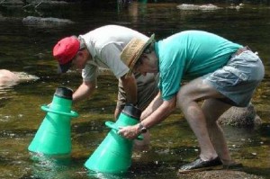 Conasauga-River-Fish-Viewing