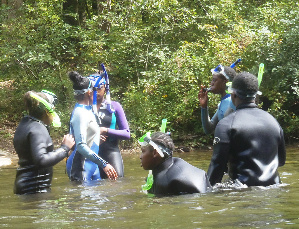 Conasauga River / Fish Viewing