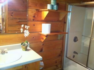 Lakeviewbathroom