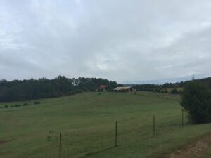ocoee mist farm bed and 2