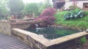 the lodge at tellico 2