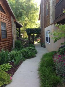 the path from lodge 1