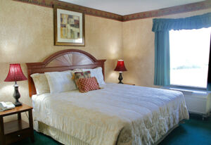 Suite King Guest Room2 1
