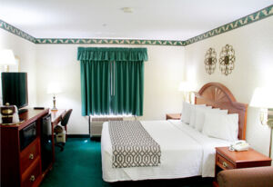 room 01