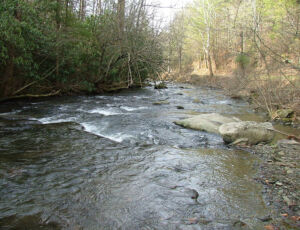 Wikipedia north river tn