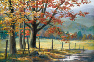 Visual Arts 6 Cades cove autumn