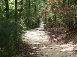 Nupbkj0kd1jqukwyfns8 1