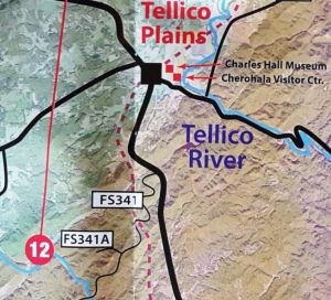 Conasauga Creek Falls 2 Conasasuga creek falls 2