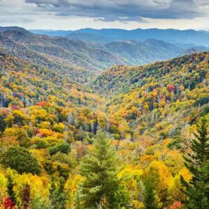 Outdoor-&-Nature-4 Outdoor-&-nature-4