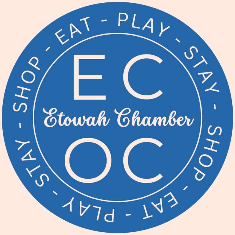 448532942 479893398050136 8706663706600063819 n